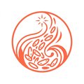 炊飯の極意
