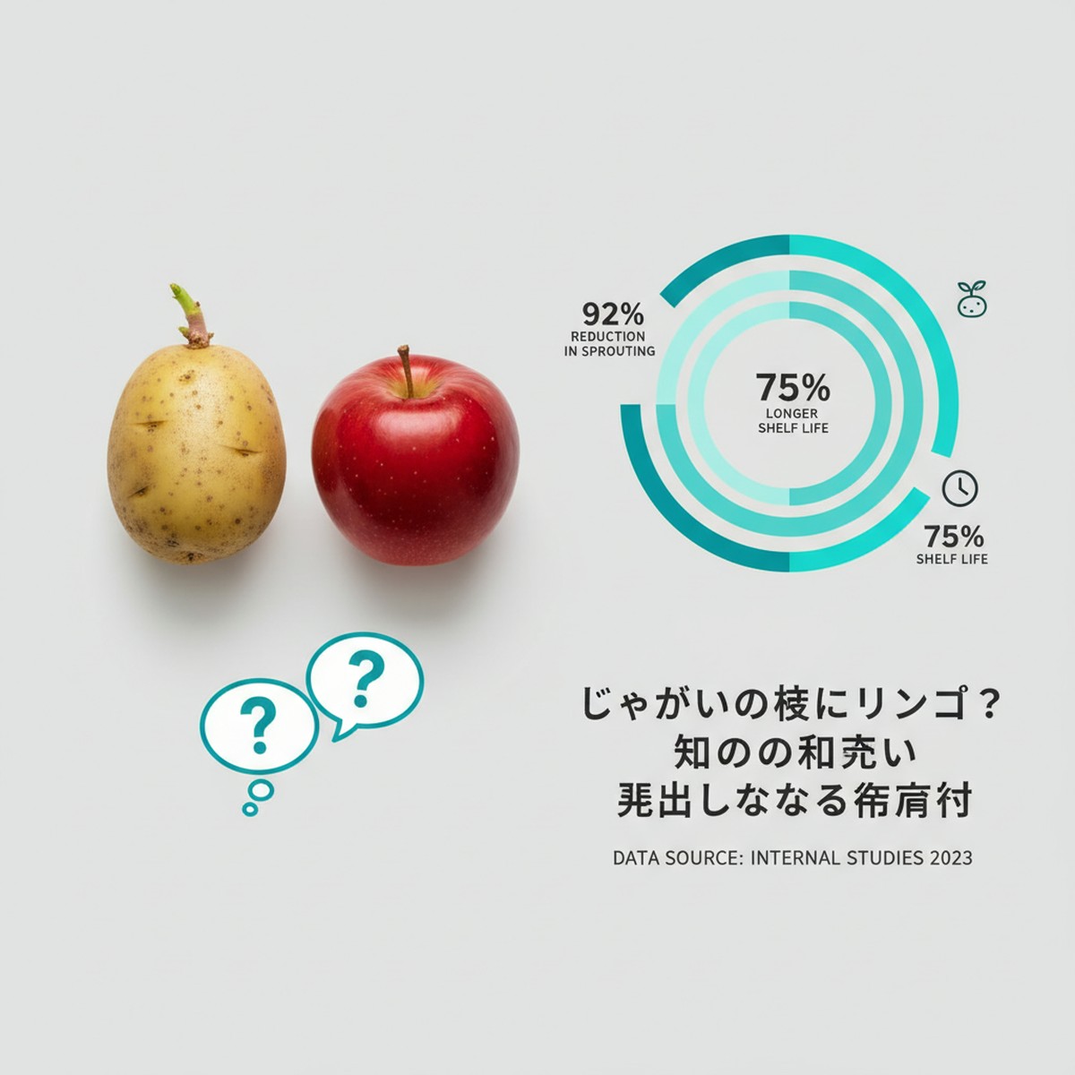 じゃがいも長持ちの鍵はリンゴ？知っておきたい保存のメカニズムと実践テクニック