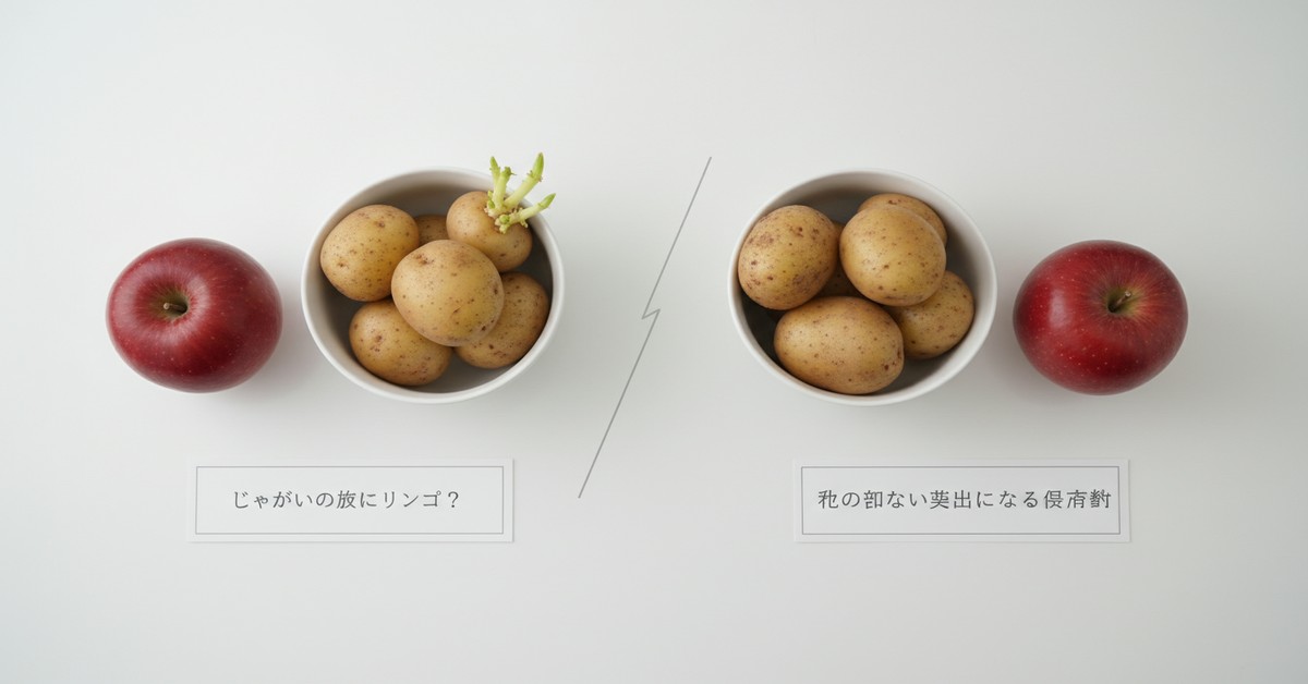 じゃがいもの芽止め：リンゴを使った賢い長期保存法