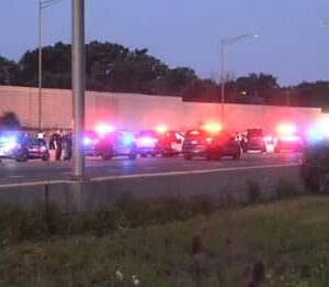 2 killed, 1 injured in crash on I-55 near Lemont, northbound lanes reopen, state police say